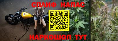 apvp Можайск