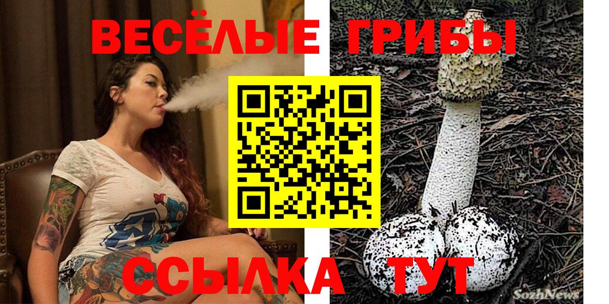 Псилоцибиновые грибы мухоморы Улан-Удэ