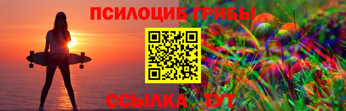 Улан-Удэ  Галлюциногенные грибы Psilocybine cubensis  Вход с VPN  Псилоцибиновые грибы прущие грибы 